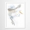 Coastal Heron Ii by World Art Group  Framed Print - Americanflat